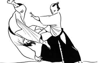 Aikido Nova Era - Foto 1