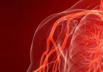 angiologia-augusta-1363712762
