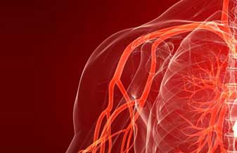 Centro Paulista Angiologia e Cirurgia Vascular - Foto 1