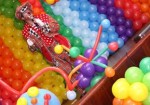 animacao-de-festa-augusta-1363702195