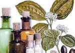 farmacias-de-homeopatia-augusta-1363716714