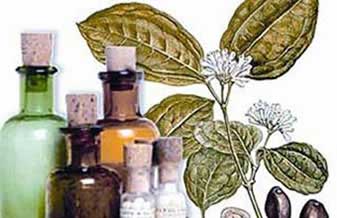 Rosifarma Homeopatia - Foto 1