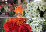 floricultura-augusta-1363721419