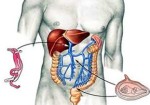 gastroenterologia-e-gastroenterologistas-augusta-1363717097