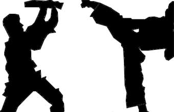 Apame Assoc Patrocinadora Artes Marciais Esportes do Brasil - Foto 1