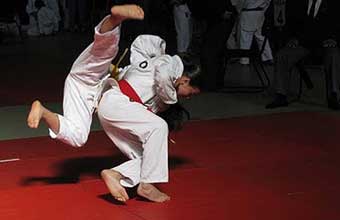 Bushinkan Aikido - Foto 1
