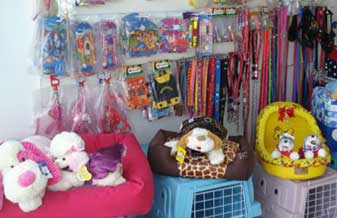 Cantinho do Bicho Pet Shop - Foto 1