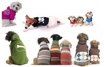 Dog Fashion Pet Shop - Foto 1