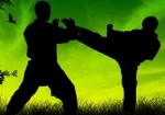 tae-kwon-do-augusta-1363699161